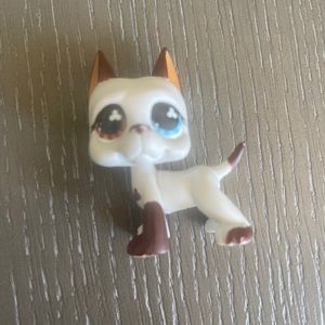 little pet shop great dane